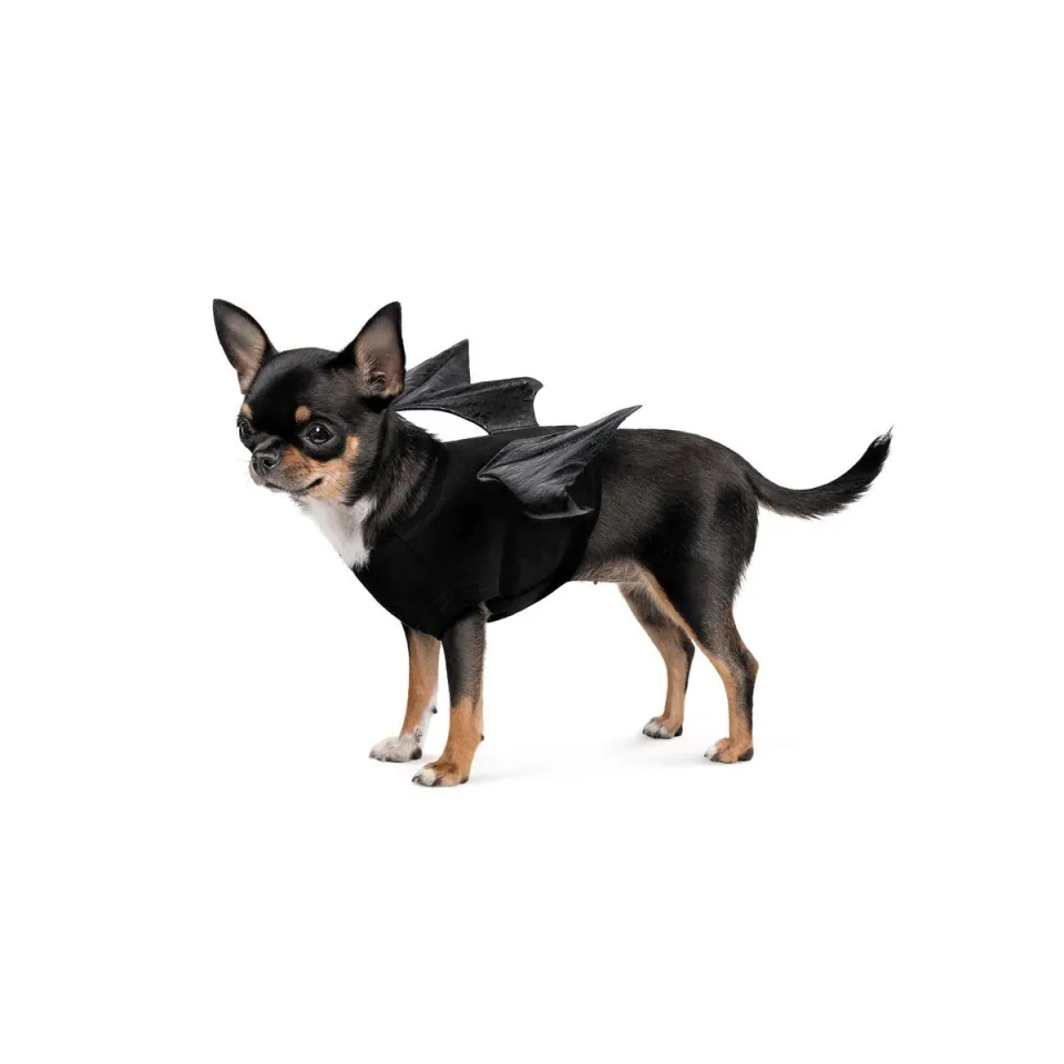 Фото Аксесуар Pet Fashion "Web" S-M купити за ціною ₴248.25