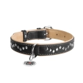 Фото Нашийник для собак шкіряний WAUDOG Soft з QR паспортом, металічні прикраси, Ш 25 мм, Дов 38-49 см чорний купити за ціною ₴649.80
