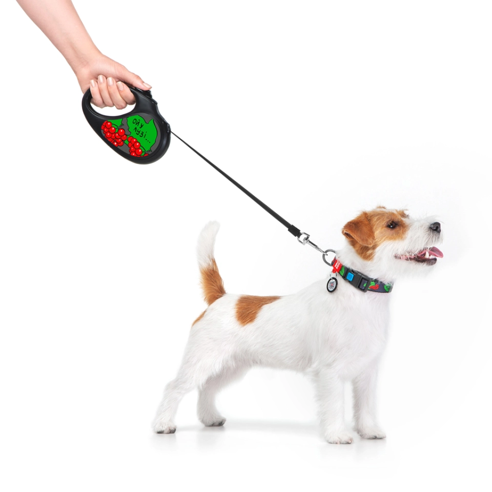 Фото Повідець-рулетка для собак WAUDOG R-leash, малюнок "Калина", S, до 15 кг, 5 м, світловідбиваюча стрічка чорний купити за ціною ₴584.60