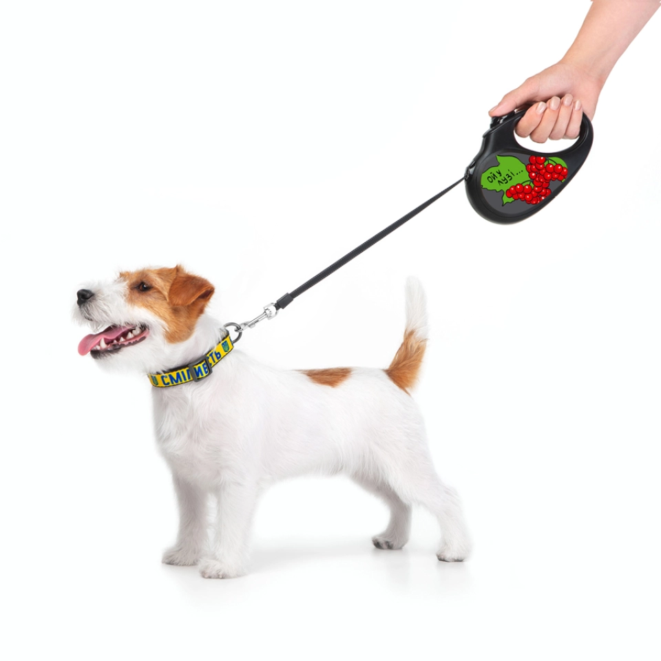 Фото Повідець-рулетка для собак WAUDOG R-leash, малюнок "Калина", S, до 15 кг, 5 м, світловідбиваюча стрічка чорний купити за ціною ₴584.60