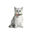 Фото Нашийник для котів нейлоновий WAUDOG Nylon з QR паспортом, малюнок "Авокадо", пластиковий фастекс, Ш 10 мм, Дов 20-30 см купити за ціною ₴118.00