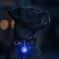 Фото Ліхтарик для собак і котів WAUDOG LED, у силіконовому чохлі, що світиться, USB, Д 37 мм купити за ціною ₴301.00