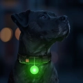 Фото Ліхтарик для собак і котів WAUDOG LED, у силіконовому чохлі, що світиться, USB, Д 37 мм купити за ціною ₴301.00
