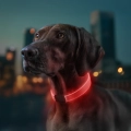 Фото Нашийник для собак з підсвічуванням WAUDOG LED, RGB, Type-C, регульований, Ш 25 мм, Дов 60 см купити за ціною ₴438.00