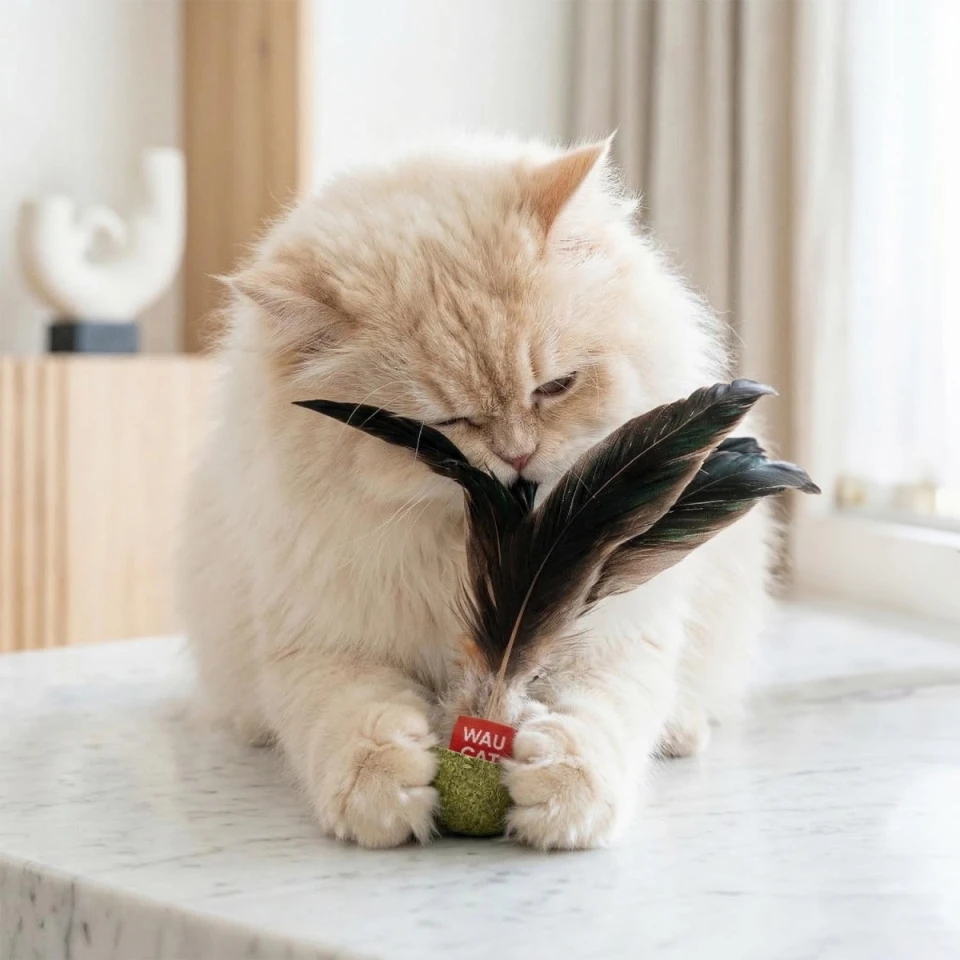 Фото Іграшка для котів WAUCAT Fun Natural Неваляйка з пір'ям та котячою м'ятою, 15 см купити за ціною ₴113.00