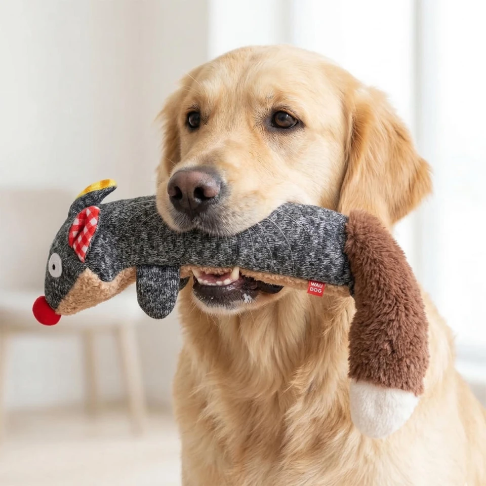 Фото Іграшка для собак WAUDOG Fun Plush Єнот, трикотаж, Ш 7 см, Д 24 см, L купити за ціною ₴337.00
