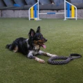Фото Іграшка для собак зі шнура Кільце з ручкою ТМ Barksi, діаметр 25 см, сіра купити за ціною ₴864.00