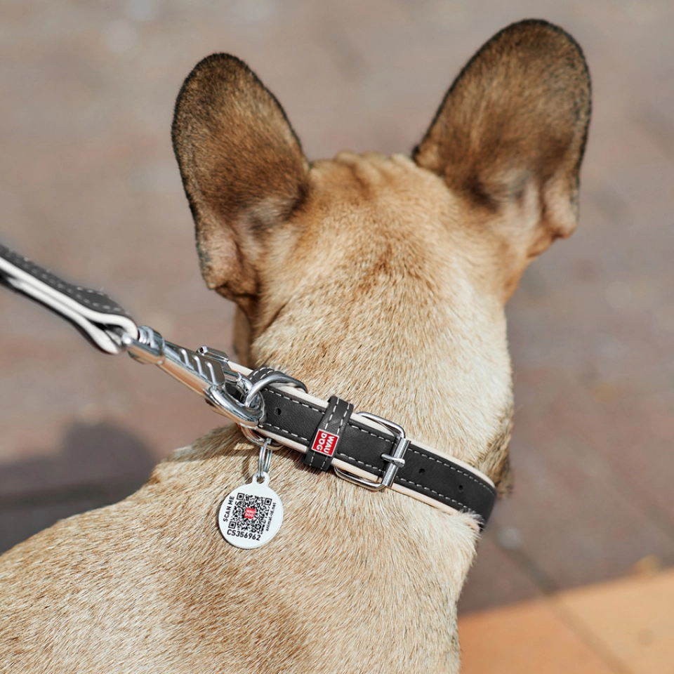 Фото Нашийник для собак шкіряний WAUDOG Soft з QR паспортом, Ш 20 мм, Дов 30-39 см купити за ціною ₴437.40