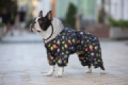 Фото Комбінезон для собак WAUDOG Clothes малюнок "Рік та Морті 2", S40, В 58-61 см, С 33-38 см купити за ціною ₴1516.00