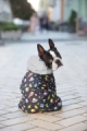Фото Комбінезон для собак WAUDOG Clothes малюнок "Рік та Морті 2", S40, В 58-61 см, С 33-38 см купити за ціною ₴1516.00