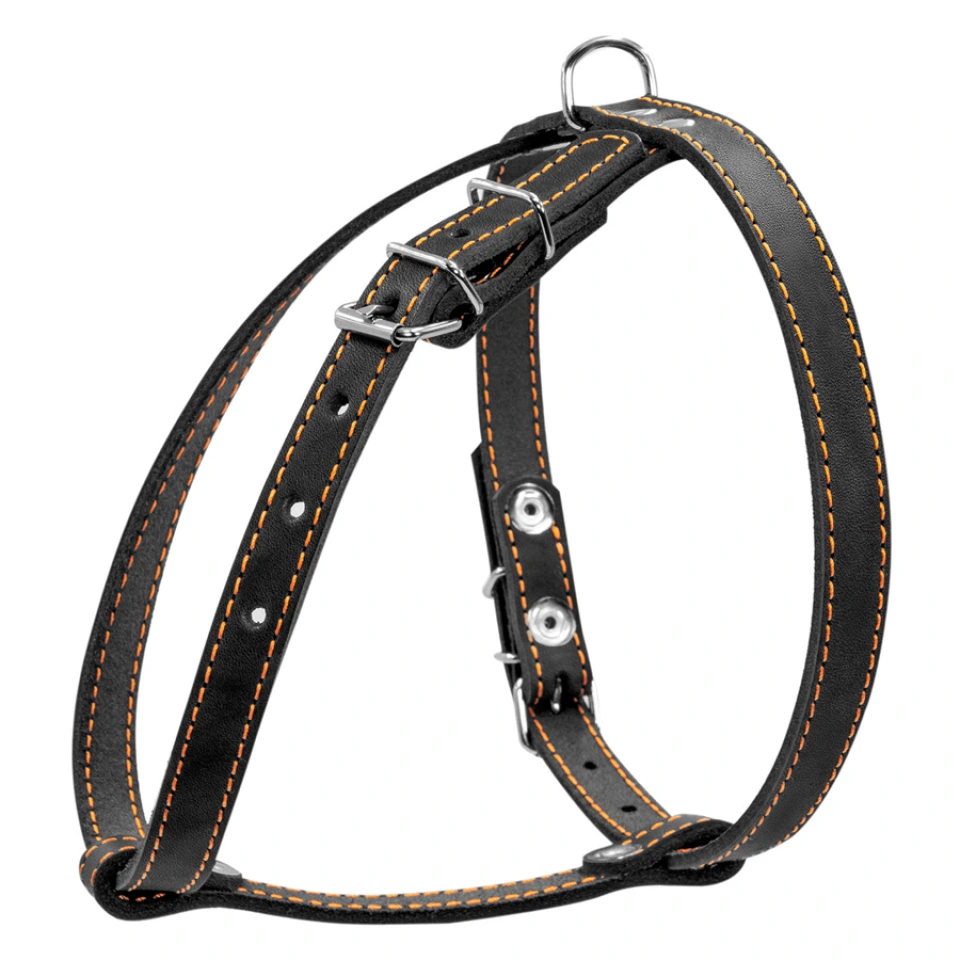 Фото Шлея "CoLLaR" одинарна для малих порід собак (ширина 14мм, А:40-48см, В:43-51см) чорний купити за ціною ₴346.00