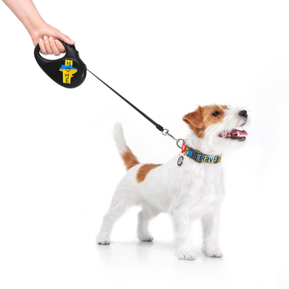 Фото Повідець-рулетка для собак WAUDOG R-leash, малюнок "Дім", S, до 15 кг, 5 м, світловідбиваюча стрічка чорний купити за ціною ₴584.60