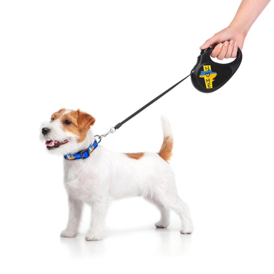 Фото Повідець-рулетка для собак WAUDOG R-leash, малюнок "Дім", S, до 15 кг, 5 м, світловідбиваюча стрічка чорний купити за ціною ₴584.60