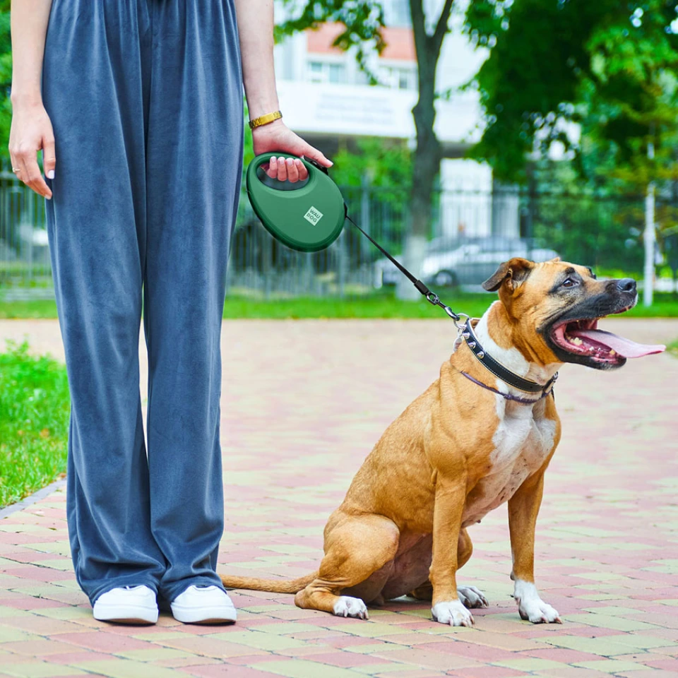 Фото Повідець-рулетка для собак WAUDOG R-leash з контейнером для пакетів, світловідбивна стрічка, L, до 40 кг, 5 м, зелений купити за ціною ₴765.00