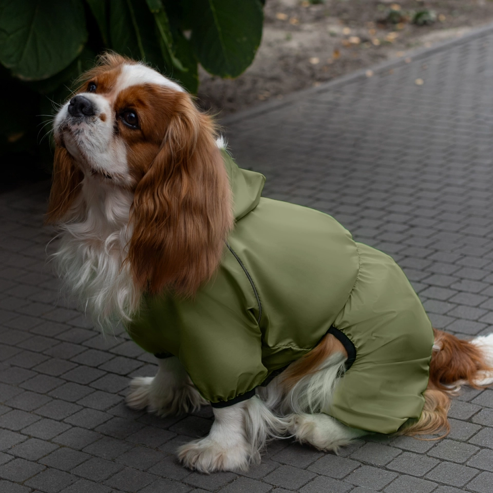 Фото Комбінезон-дощовик для собак Barksi Textile Оливковий  2XS(205125) купити за ціною ₴503.00