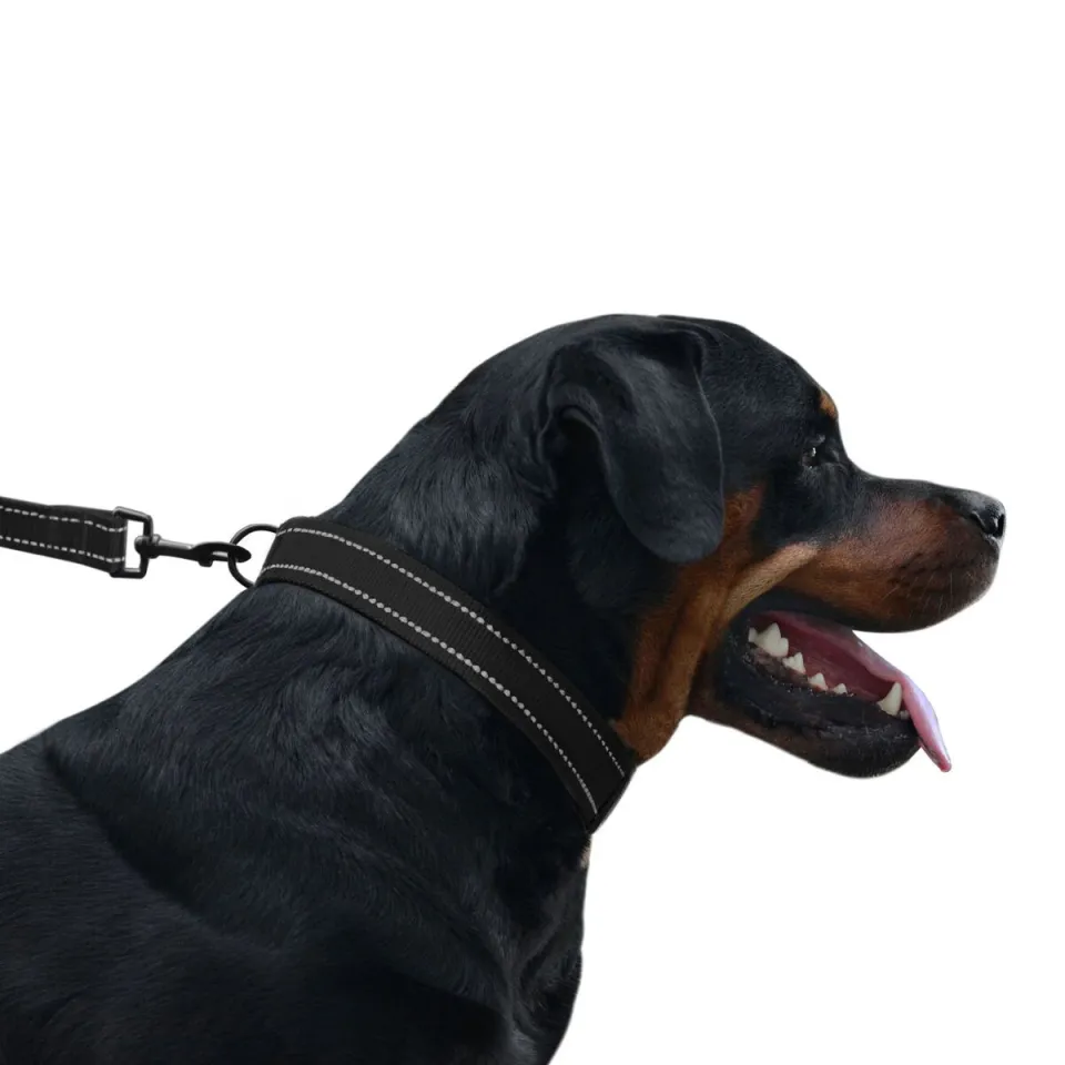Фото Повідець для Собак Bronzedog Active Нейлоновий зі Світловідбиттям Чорний  M(61/1301/Т) купити за ціною ₴215.00