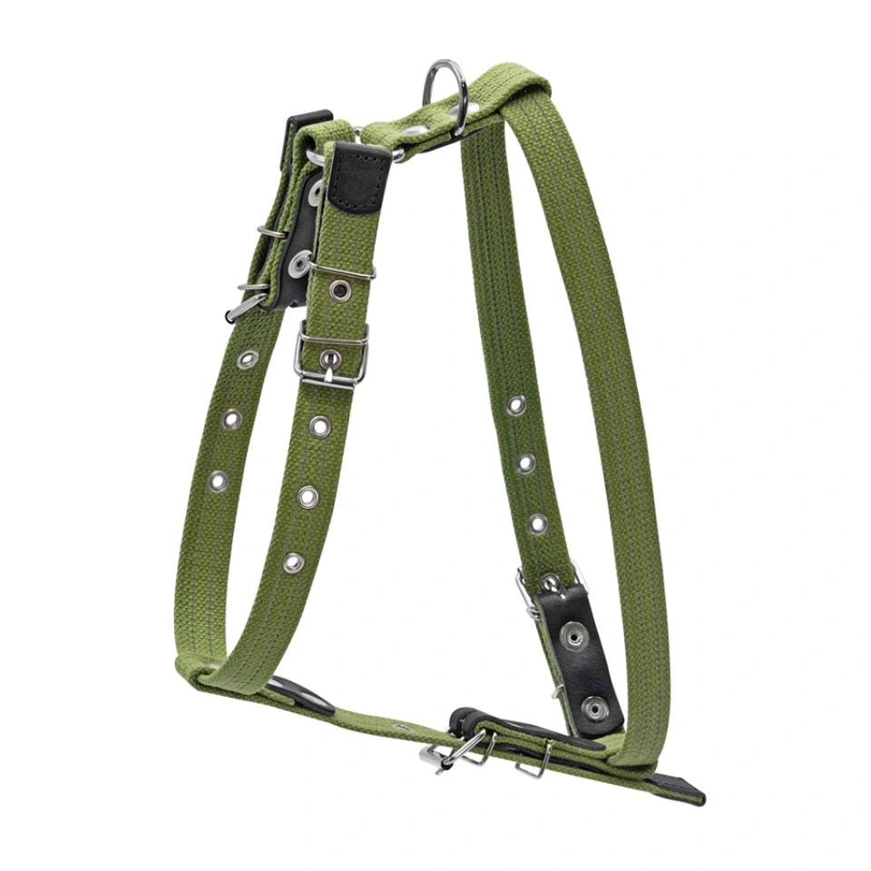 Фото Шлея бавовняна тасьма CoLLaR Брезент для середніх собак (ширина 25мм, А:47-72см, В:68-80см) купити за ціною ₴522.00