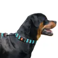 Фото Нашийник для Собак BronzeDog Urban Зигзаг Нейлоновий з Пластиковою Пряжкою Коричнево-Блакитний M купити за ціною ₴114.00