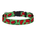 Фото Нашийник для Собак BronzeDog Urban Fruits Нейлоновий з Пластиковою Пряжкою Кавун  XL(53/8629) купити за ціною ₴169.20