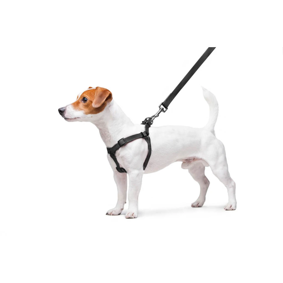 Фото Шлея для собак водостійка WAUDOG Waterproof, c QR паспортом, металічна пряжка-фастекс, Ш 15 мм, Дов 40-55 см чорний купити за ціною ₴806.00