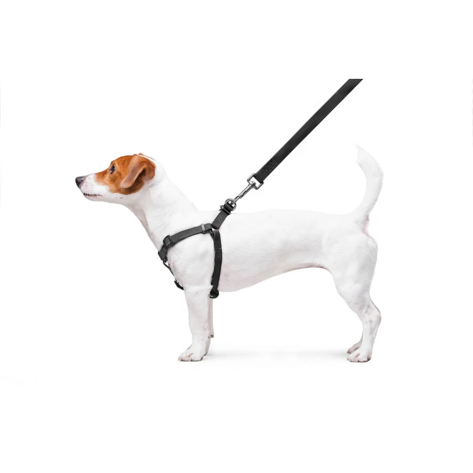 Фото Шлея для собак водостійка WAUDOG Waterproof, c QR паспортом, металічна пряжка-фастекс, Ш 15 мм, Дов 40-55 см чорний купити за ціною ₴806.00