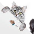 Фото Іграшка для Котів Barksi Мала Мишка з дзвіночком (3346) купити за ціною ₴68.40