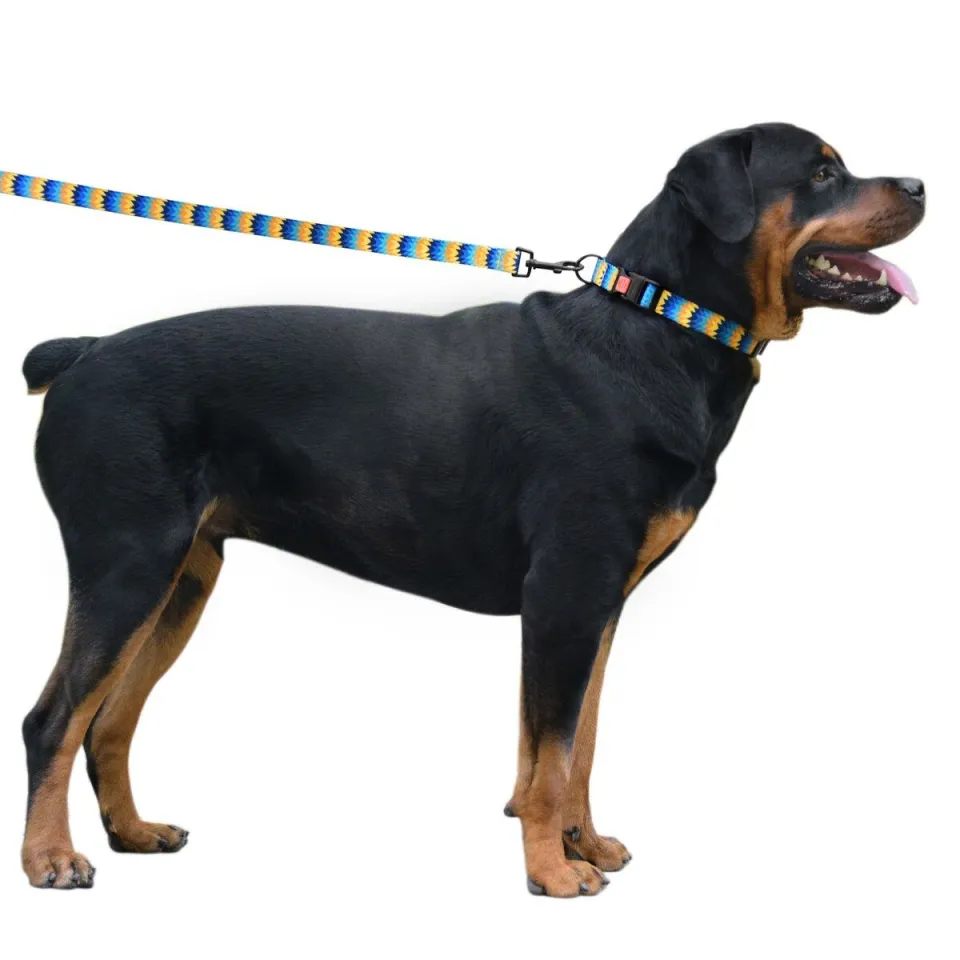 Фото Нашийник для Собак BronzeDog Urban Зигзаг Нейлоновий з Пластиковою Пряжкою Жовто-Синій S купити за ціною ₴114.00