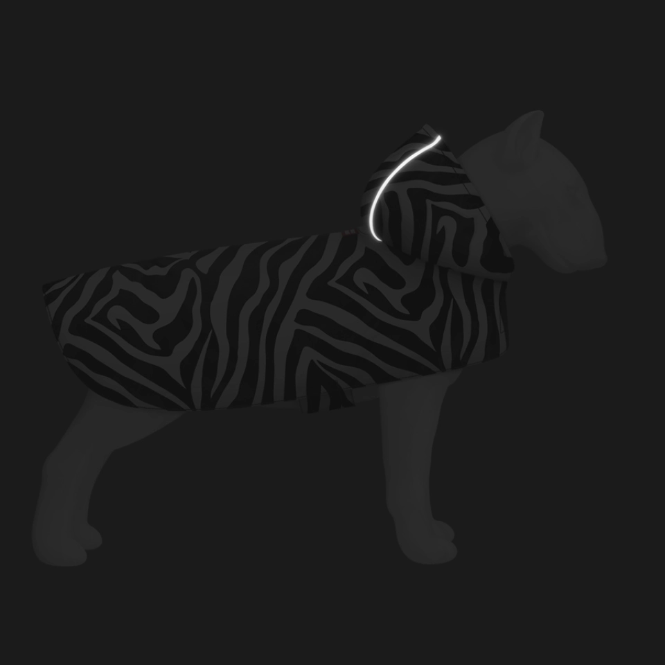 Фото Дощовик-накидка з капюшоном для собак WAUDOG Clothes, малюнок "Зебра", L, А 48-52 см, B 60-70 см, С 42-52 см купити за ціною ₴573.00