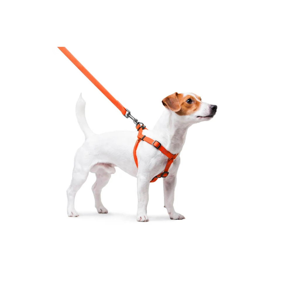 Фото Шлея для собак водостійка WAUDOG Waterproof, c QR паспортом, металічна пряжка-фастекс, Ш 15 мм, Дов 40-55 см помаранчевий купити за ціною ₴806.00
