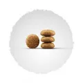 Фото Сухий корм для собак Йозера JOSERA Mini Adult Chicken & Rice (Miniwell) купити за ціною ₴303.00