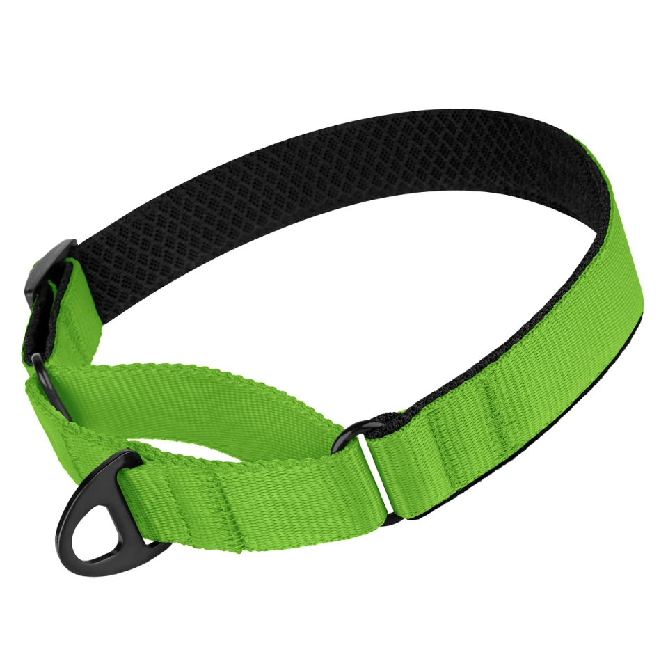 Фото Нашийник для Собак Мартінґейл BronzeDog Mesh Салатовий S купити за ціною ₴138.00