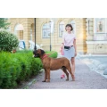 Фото Повідець для собак водостійкий WAUDOG Waterproof, S, Ш 15 мм, Дов 122 см рожевий купити за ціною ₴299.28
