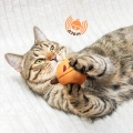 Фото Іграшка для Котів Barksi з дзвіночком Гарбузик (3366) купити за ціною ₴122.40
