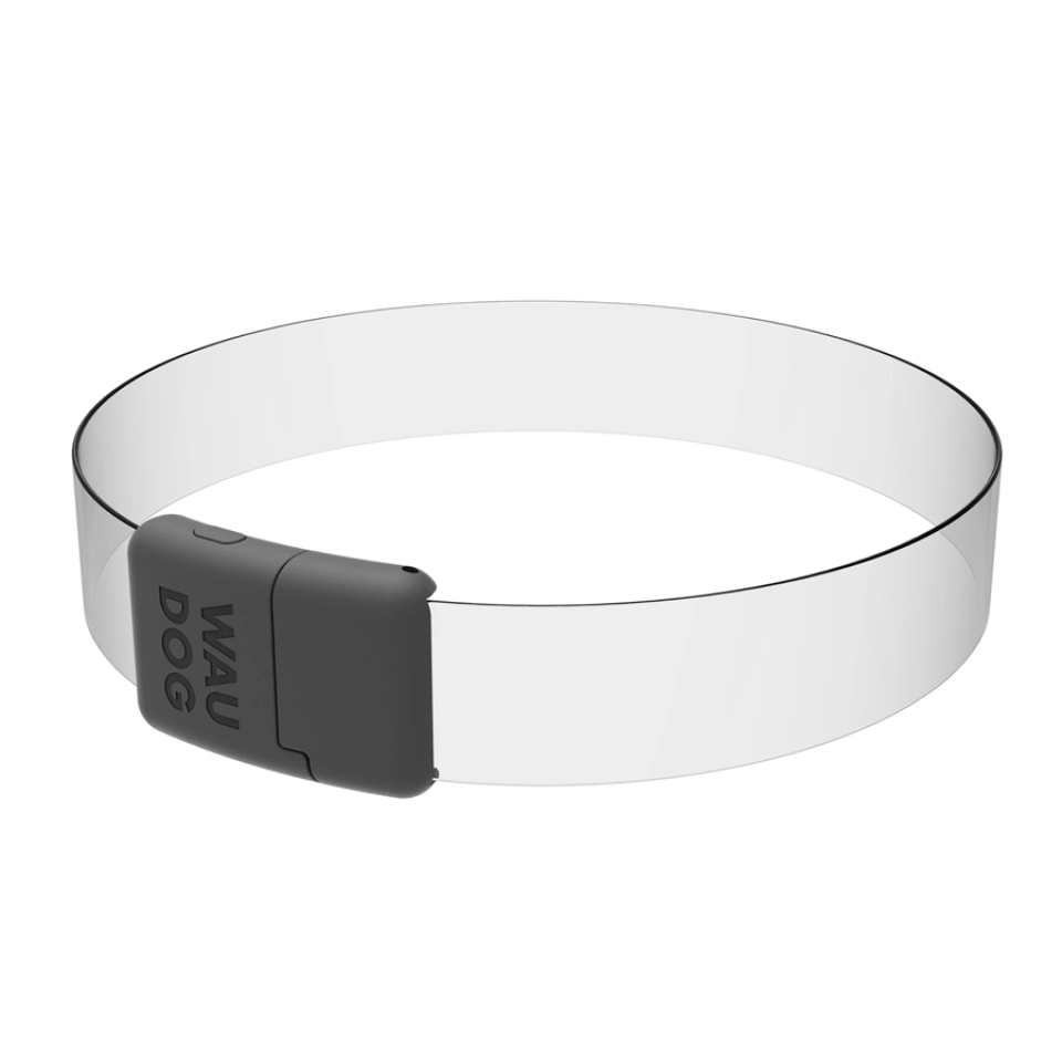 Фото Нашийник для собак з підсвічуванням WAUDOG LED, RGB, Type-C, регульований, Ш 25 мм, Дов 60 см купити за ціною ₴438.00