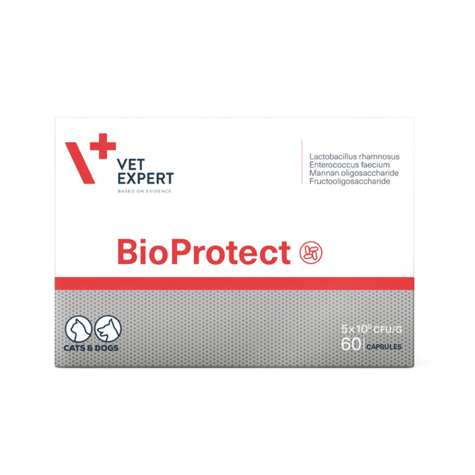 Фото Vet Expert BioProtect Вет Експерт БіоПротект синбіотик на основі пробіотиків і пребіотиків для котів і собак, 60 капсул купити за ціною ₴1079.00