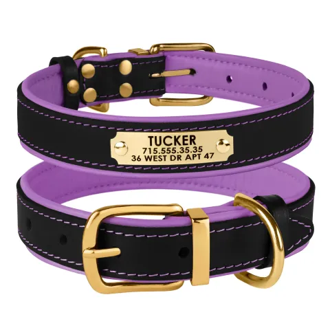 Нашийник для Собак Шкіряний BronzeDog Premium з Литою Латунною Фурнітурою та Адресником Чорно-Фіолетовий  L(62039/Т) з гравіюванням купити за ціною ₴583.20