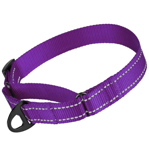 Нашийник для собак Мартінґейл Bronzedog Active нейлоновий зі світловідбиттям фіолетовий  S(13/1307/Т) купити за ціною ₴67.00