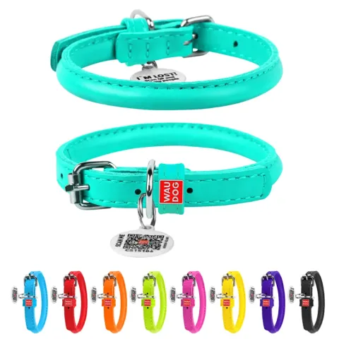 Нашийник для собак шкіряний WAUDOG Glamour з QR паспортом, круглий, Д 8 мм, Дов 20-25 см ментоловий купити за ціною ₴157.50