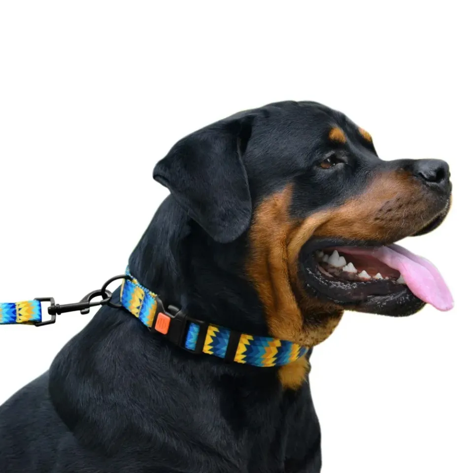 Фото Нашийник для Собак BronzeDog Urban Зигзаг Нейлоновий з Пластиковою Пряжкою Жовто-Синій S купити за ціною ₴114.00