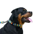 Фото Нашийник для Собак BronzeDog Urban Зигзаг Нейлоновий з Пластиковою Пряжкою Жовто-Синій S купити за ціною ₴114.00
