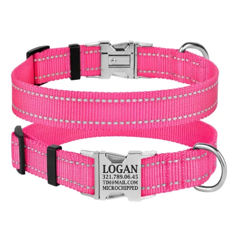 Нашийник для Собак BronzeDog Active Нейлоновий зі Світловідбиттям та Металевою Пряжкою Рожевий  S(32/1306/Т) купити за ціною ₴161.00