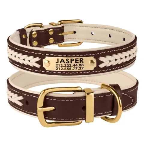 Нашийник для Собак Шкіряний BronzeDog Premium з Литою Латунною Фурнітурою та Адресником Коричнево-Бежевий  S(610514/Т) з гравіюванням купити за ціною ₴471.60