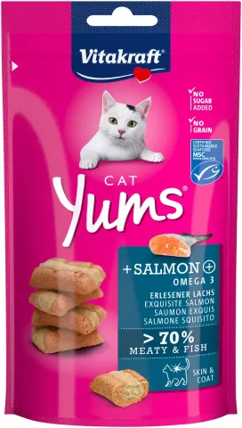Ласощі Vitakraft для котів Yums лосось та Омега 3, 40г купити за ціною ₴154.00