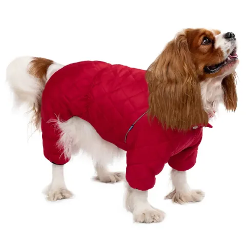 Комбінезон для собак Barksi Textile Червоний  2XS(195103) купити за ціною ₴881.00