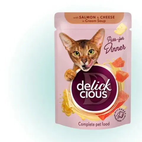 Вологий корм для котів Delickcious з лососем та сиром в крем-супі, 85 г купити за ціною ₴28.00