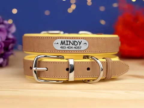 Нашийник для собак шкіряний BronzeDog підклеєний Бежевий хром Жовтий  S(54368) з гравіюванням купити за ціною ₴232.20