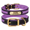 Фото Нашийник для Собак Шкіряний BronzeDog Premium з Литою Латунною Фурнітурою та Адресником Чорно-Фіолетовий  M(61029/Т) з гравіюванням купити за ціною ₴550.80