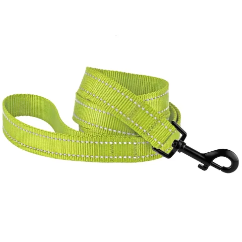 Повідець для Собак Bronzedog Active Нейлоновий зі Світловідбиттям Салатовий  XS(59/1305/Т) купити за ціною ₴96.00