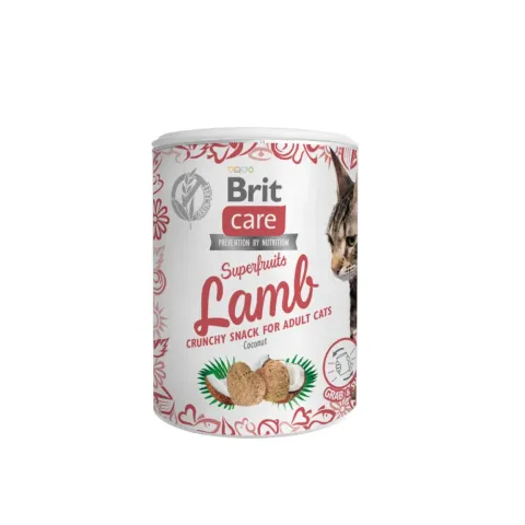 Ласощі Бріт Brit Care Кет Снек Суперфрутс Лемб д/котів ягня 100 г купити за ціною ₴269.00
