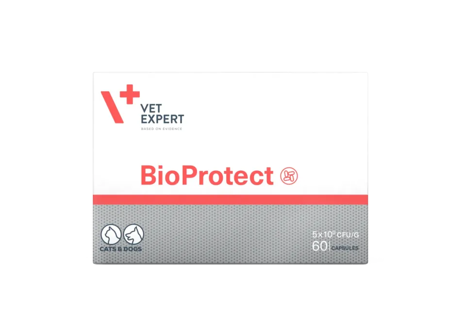 Фото Vet Expert BioProtect Вет Експерт БіоПротект синбіотик на основі пробіотиків і пребіотиків для котів і собак, 60 капсул купити за ціною ₴1079.00